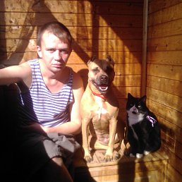 �����, ������������, 37 ���