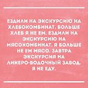���� ������, ���������, 39 ��� - ��������� 8 ������ 2016 � ������ ������ ��������