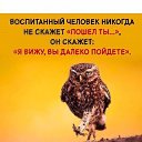 ���� �������, ������, 71 ��� - ��������� 14 ������� 2016 � ������ ���� ����������