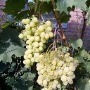 ���� ���������, ���������, 74 ���� - ��������� 29 ������ 2016 � ������ ���� ����������