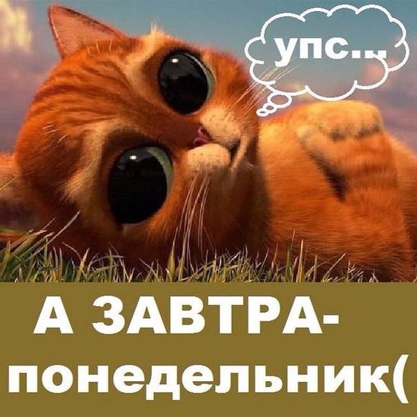 :)    )))    ,         ,  ...