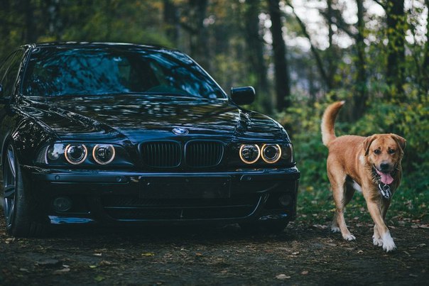 e39 - 2