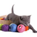 ���� Gabby, ������ - ��������� 23 ������ 2016