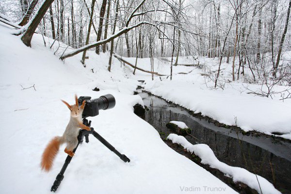 ))).Удивительная фотосессия для любопытных белокНе так давно фотографу из России Вадиму Трунову ... - 7