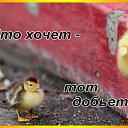 ���� ������, ���� - ��������� 10 ������� 2016 � ������ ������ ��������