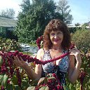 ���� ���, �����, 65 ��� - ��������� 11 ������� 2016 � ������ ���� ����������