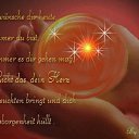 ���� Ashraf66, ����, 59 ��� - ��������� 28 ������ 2016 � ������ ������ ��������