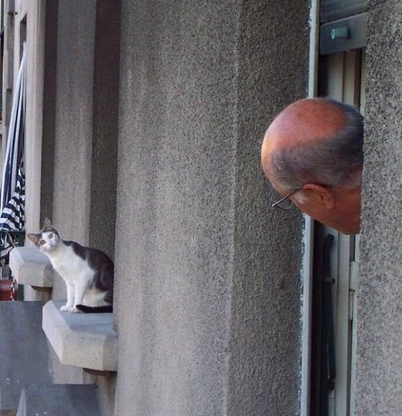 CATS OF ALL - 30 �������� 2016 � 18:22