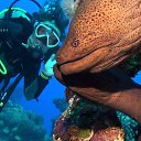 ���� ������, ������ - ��������� 23 ������� 2016 � ������ ����� ��� �������