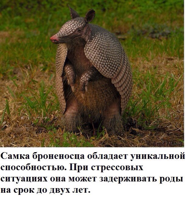      ?!....