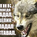 ���� ���������, ������, 79 ��� - ��������� 26 ������� 2017 � ������ ������ ��������