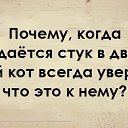 ���� ����� ���������, �����, 47 ��� - ��������� 30 ������� 2016 � ������ ������ ��������