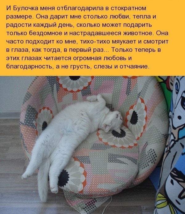    - 7