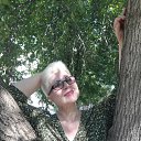 ���� �������, ���������, 73 ���� - ��������� 3 ������� 2016 � ������ ������...���������...�