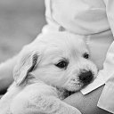 ���� ������, ���� - ��������� 9 ������� 2016 � ������ ������ ��������