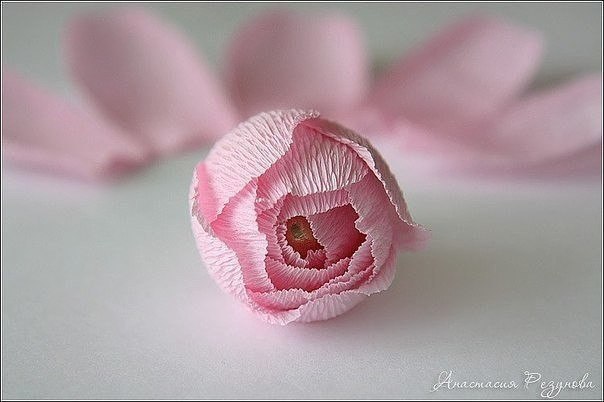 ����-������. ������� ����� - 9