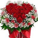 ���� Justinas, ������ - ��������� 21 ����� 2017 � ������ �������� ��������