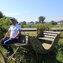 ���� �����, ������, 41 ��� - ��������� 18 ������ 2017 � ������ ������� 2016�