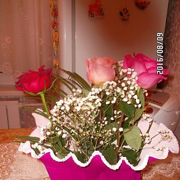 ���� �����, ����������� - ��������� 6 ������� 2016