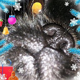 �������, ������������, 48 ���