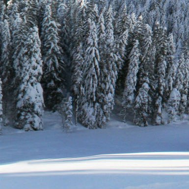   :).   :1.   5   .2.    . ... - 4