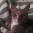 ���� ������, ����, 43 ���� - ��������� 30 ������ 2016 � ������ ���� ����������