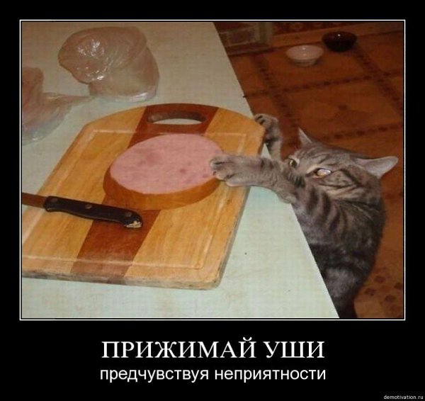 Comedy Club - 20  2017  08:21