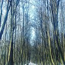 ���� �����, ������, 54 ���� - ��������� 10 ����� 2017 � ������ ���� ����������