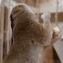 ���� �������, ������, 48 ��� - ��������� 17 �������� 2016 � ������ ���� ����������
