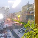 ���� ���������, �����-���������, 64 ���� - ��������� 29 �������� 2016 � ������ ���� �������� ����� !�