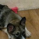 ���� �����, ������� - ��������� 21 ����� 2017 � ������ ������������ �������