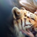 ���� �����, ����� - ��������� 30 �������� 2016 � ������ ������ ��������