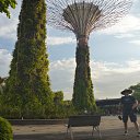 ���� ����, ����, 50 ��� - ��������� 23 ������ 2016 � ������ �indonesia�