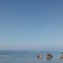 ���� Gallicient, ������ - ��������� 14 �������� 2016 � ������ ���������