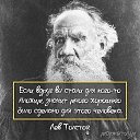 ���� Mao Mao, ������� - ��������� 11 ������� 2016 � ������ ���� ����������