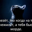 ���� �����, �������� - ��������� 12 ����� 2017 � ������ ������ ��������