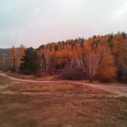 �����, ����, 56 ���