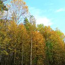 ���� �������, ��������, 47 ��� - ��������� 2 ������� 2016 � ������ ���� ����������