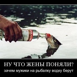 ���� �����, ���������, 44 ���� - ��������� 21 ������� 2016