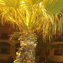 ���� �, ����-���� - ��������� 19 ������ 2016