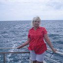 ���� �������, ����, 59 ��� - ��������� 4 ������ 2016 � ������ ���� ����������