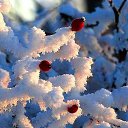 ���� �����, �������, 30 ��� - ��������� 2 ������� 2016 � ������ ������ ��������
