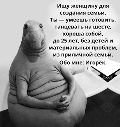     :      - ,   ... - 2