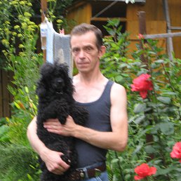 �����, ������, 62 ����