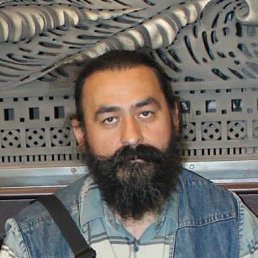 �����, ������, 65 ���