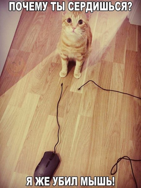    :D - 11  2017  04:32