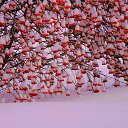 ���� �������, ����, 62 ���� - ��������� 27 ������� 2016 � ������ ������ ��������