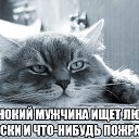 ���� ϸ��, ����������, 53 ���� - ��������� 27 ����� 2017 � ������ ���� ����������