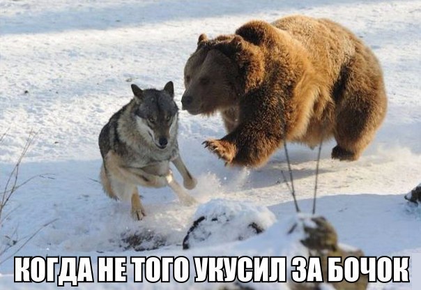     - 22  2017  20:05