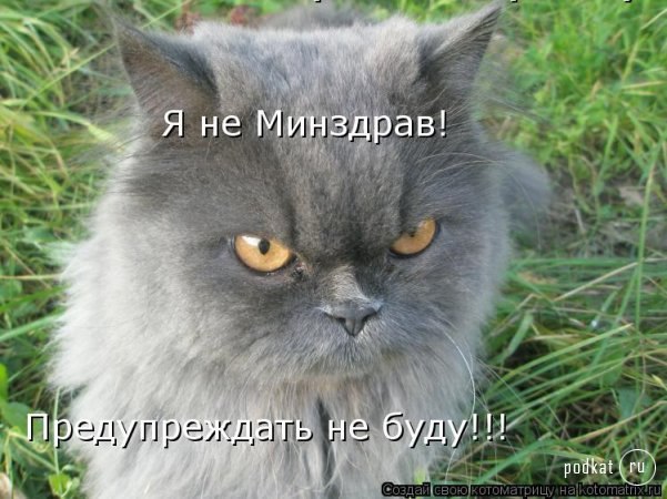 Ты меня приручал, словно дикую кошку, Укрощал постепенно, кормил понемножку, Расставляя приманки ...